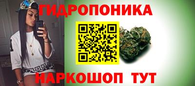 молекула духа Ликино-Дулёво