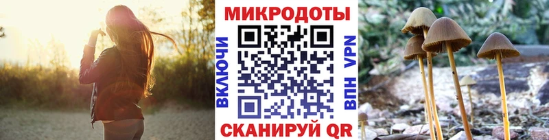 Псилоцибиновые грибы Psilocybine cubensis  Морозовск 