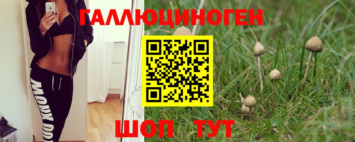 Морозовск  купить наркотики цена  Галлюциногенные грибы мицелий  Вход с VPN  Галлюциногенные грибы ЛСД 
