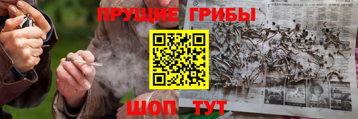 Галлюциногенные грибы Cubensis Морозовск
